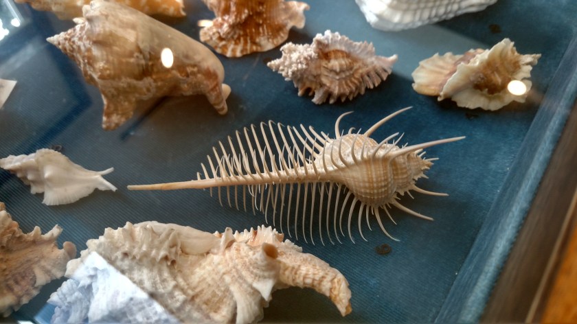 IMG_20180803_141652436_HDR