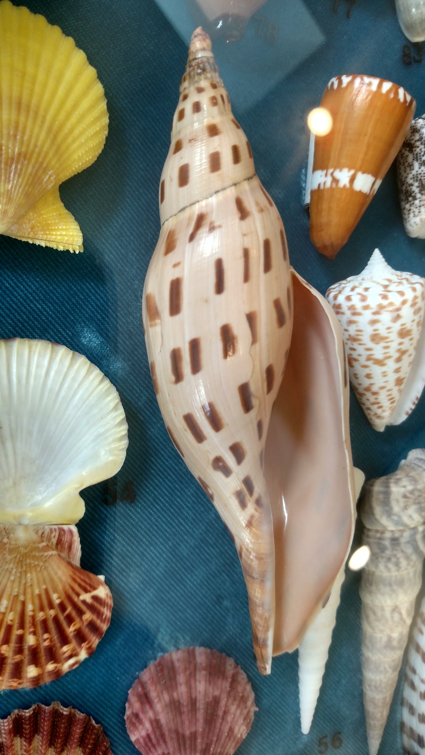 IMG_20180803_141703573_HDR