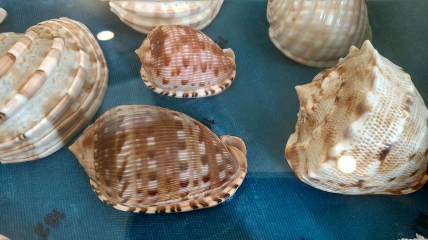 IMG_20180803_141713288_HDR