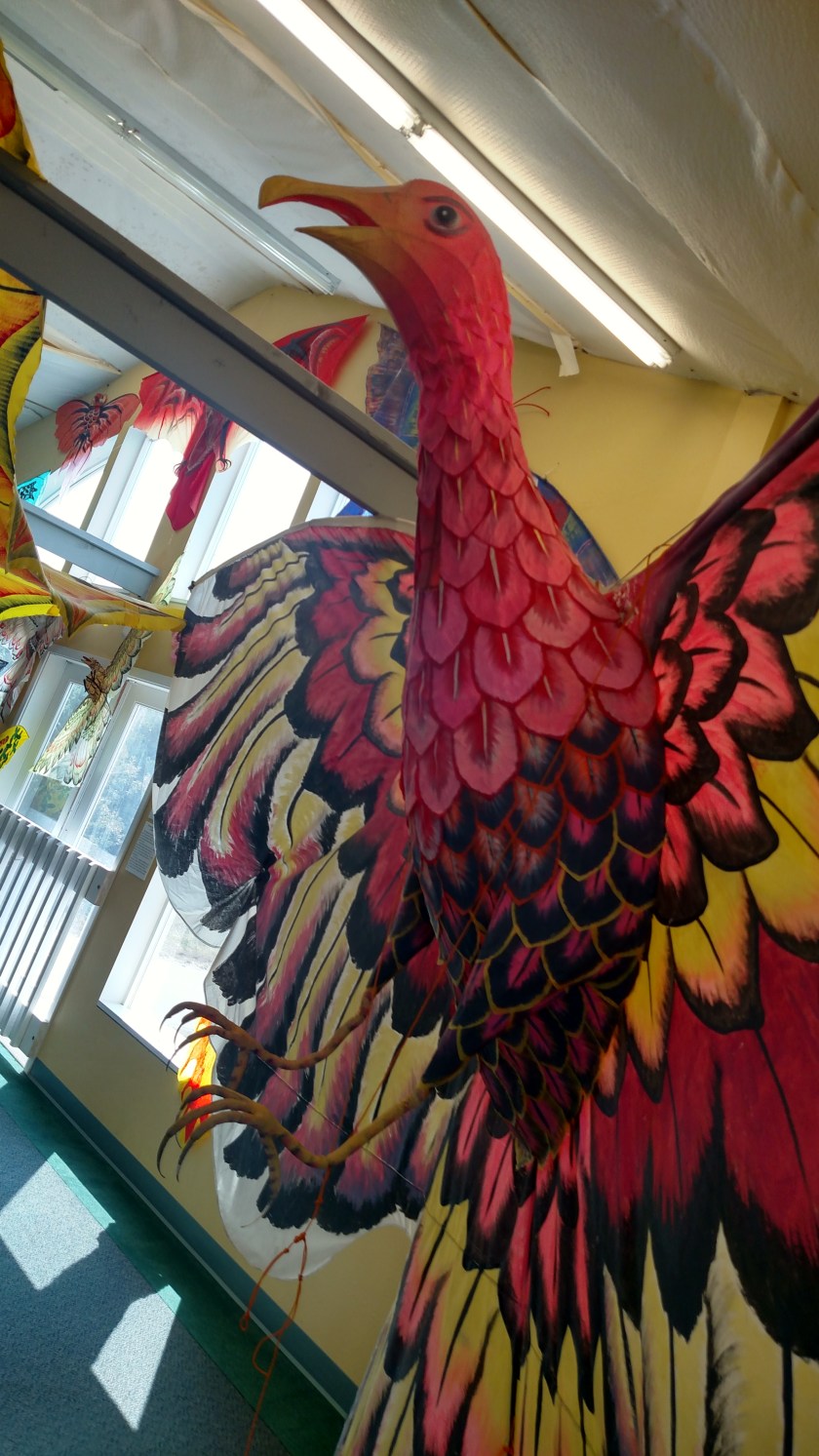 IMG_20180813_145534701_HDR