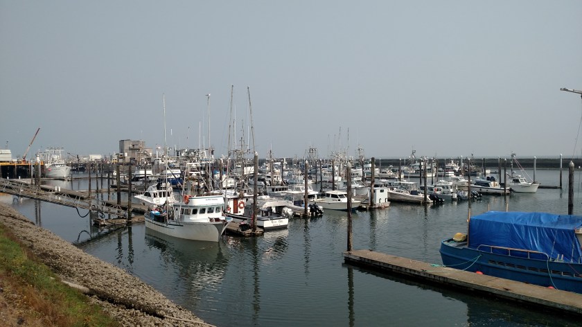 IMG_20180814_105554261