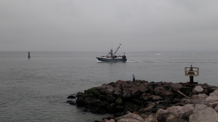 IMG_20180815_092729487