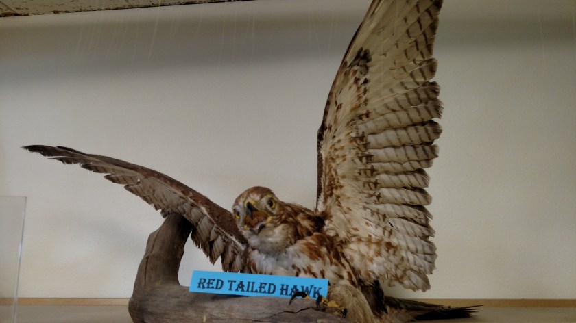 IMG_20180815_133830032