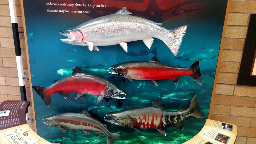 IMG_20180816_094141056