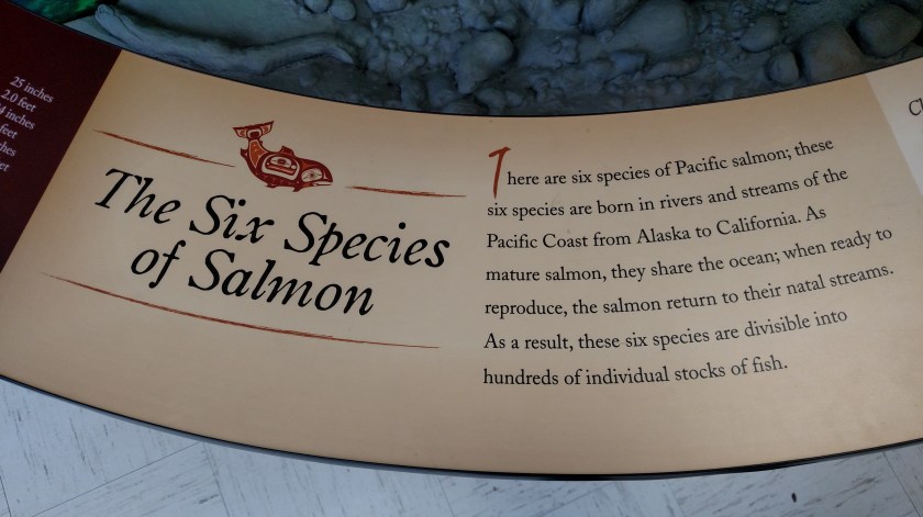 IMG_20180816_094215780