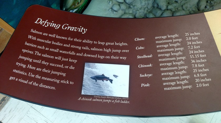 IMG_20180816_094222889