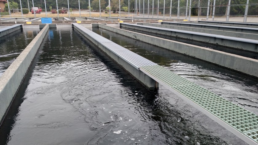 IMG_20180816_095059824