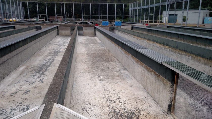 IMG_20180816_095113446