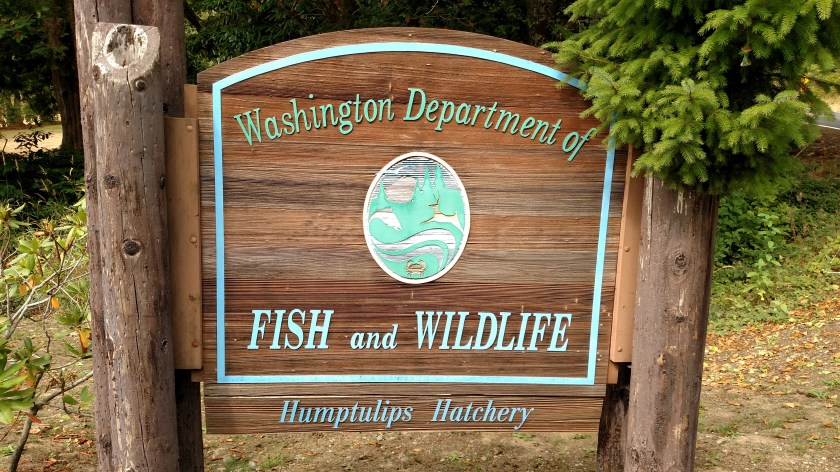 IMG_20180816_105800778