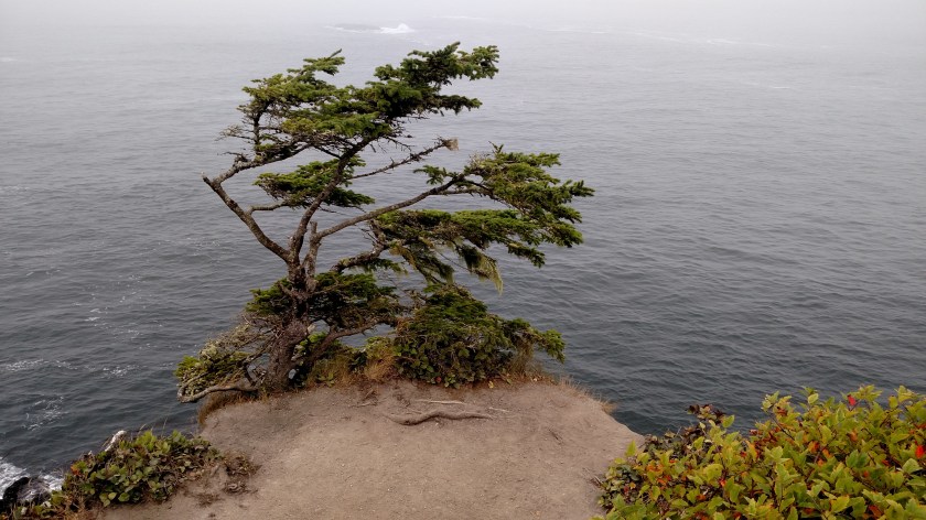 IMG_20180818_110915686