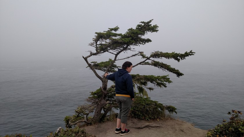 IMG_20180818_111302130