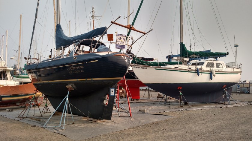 IMG_20180821_104028870_HDR