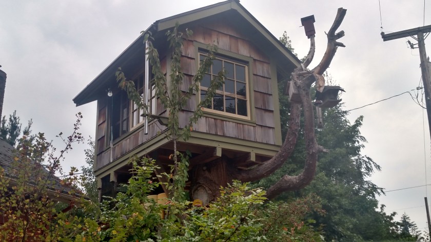 IMG_20180825_164058819_HDR