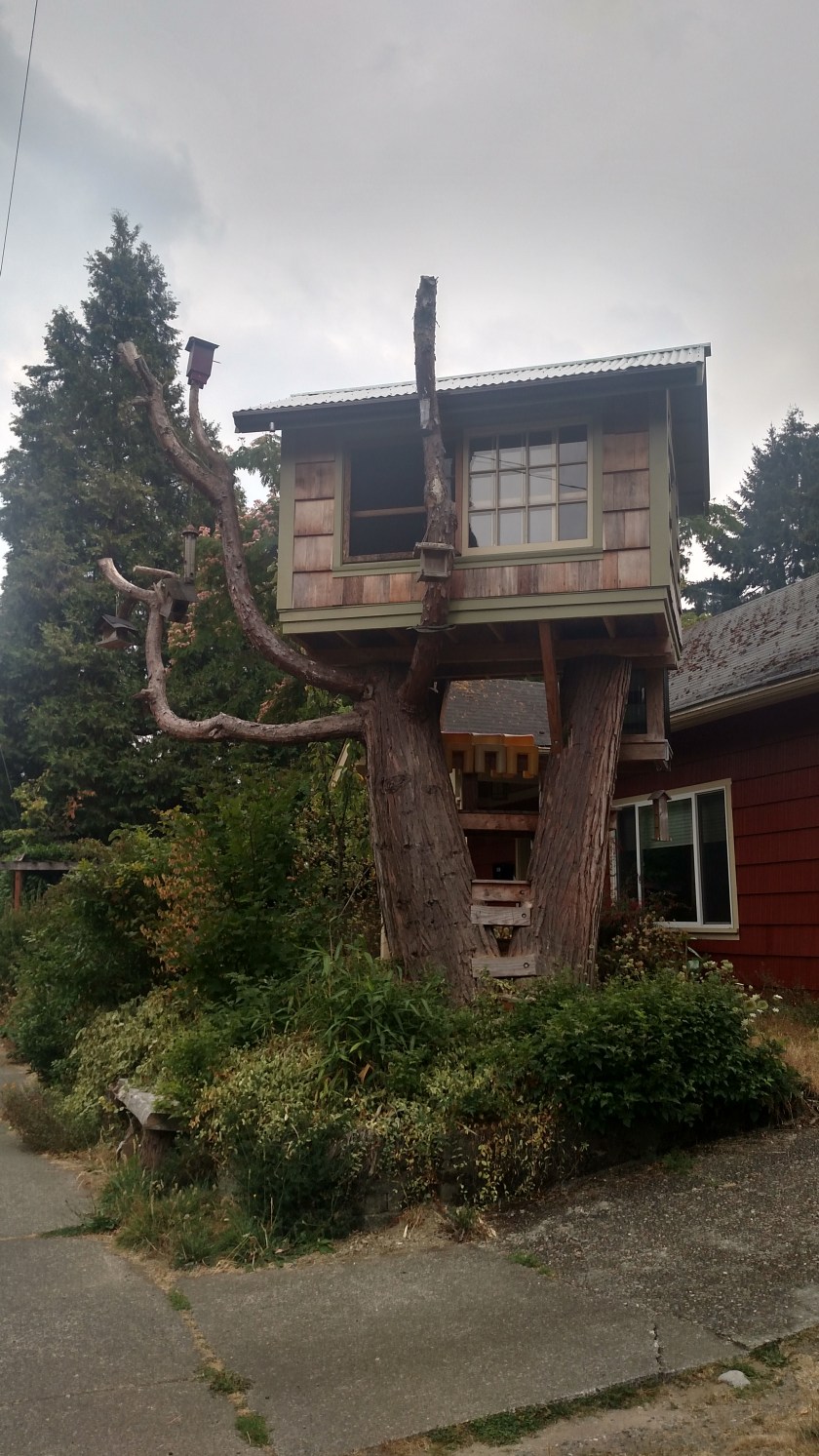 IMG_20180825_164135075_HDR