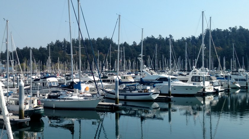 IMG_20180828_110343081