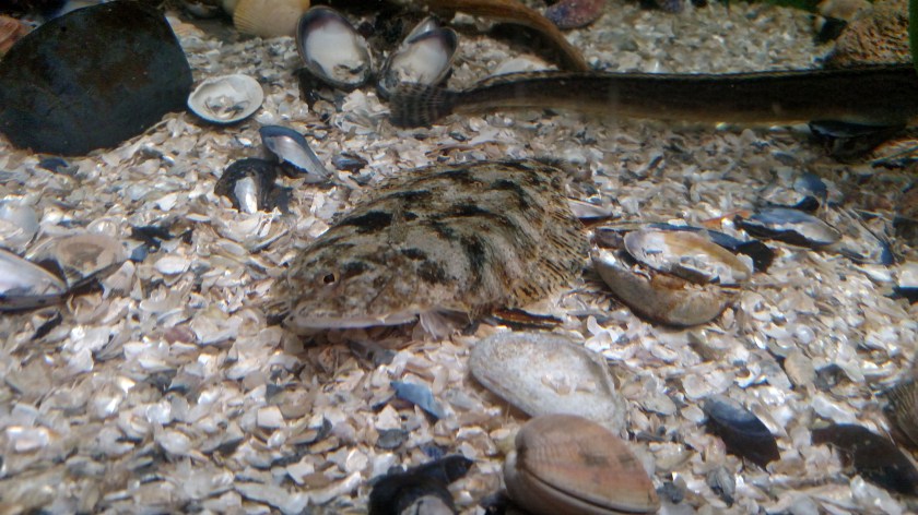 IMG_20180829_105103863