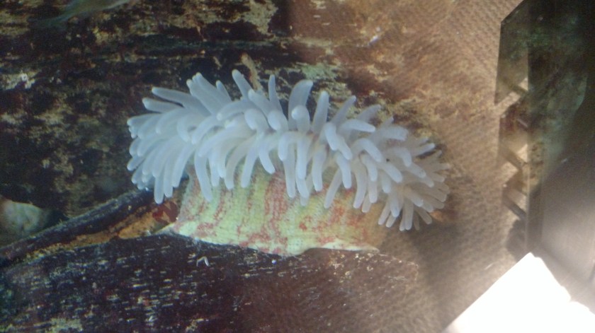 IMG_20180829_105416682