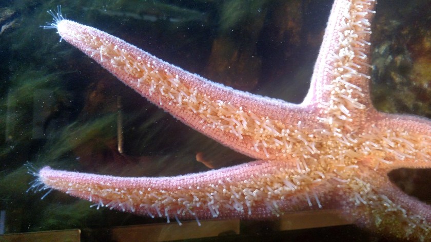 IMG_20180829_105456829