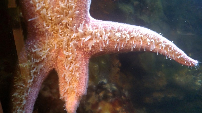 IMG_20180829_105501400