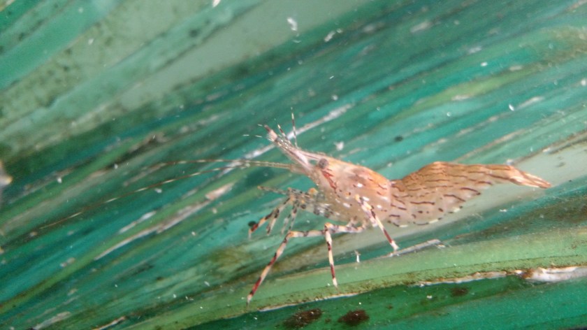 IMG_20180829_105739796