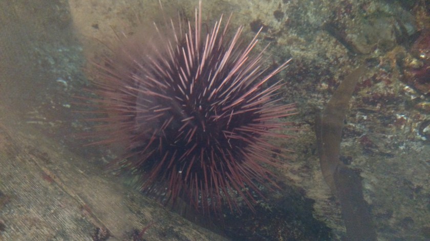 IMG_20180829_110327027