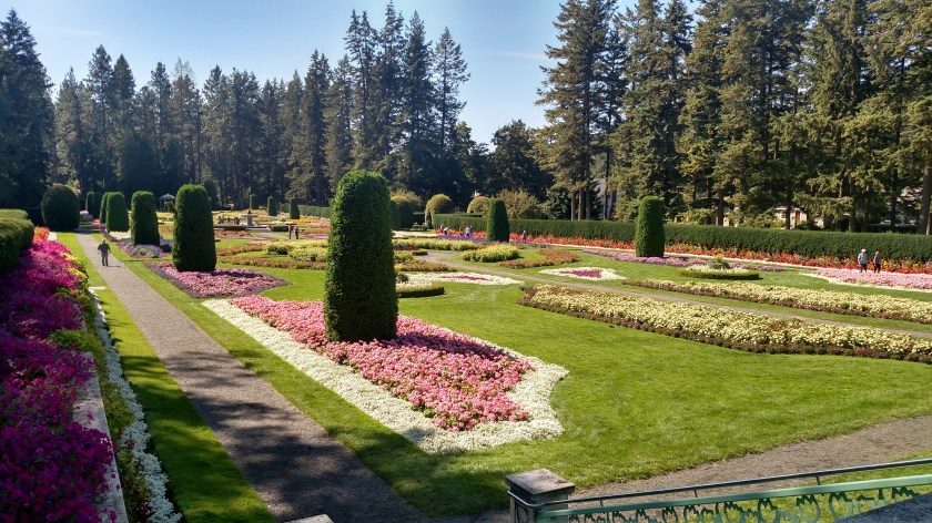 IMG_20180902_112617552_HDR