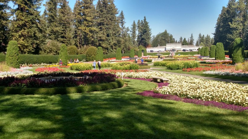 IMG_20180902_113037063_HDR