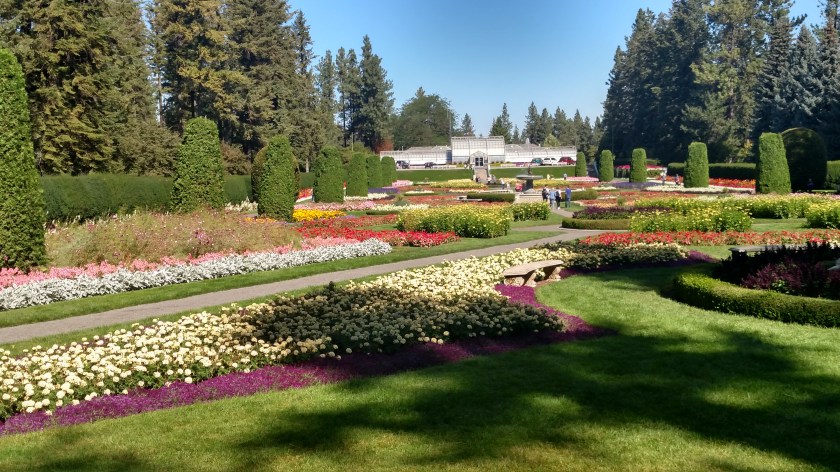 IMG_20180902_113127023_HDR