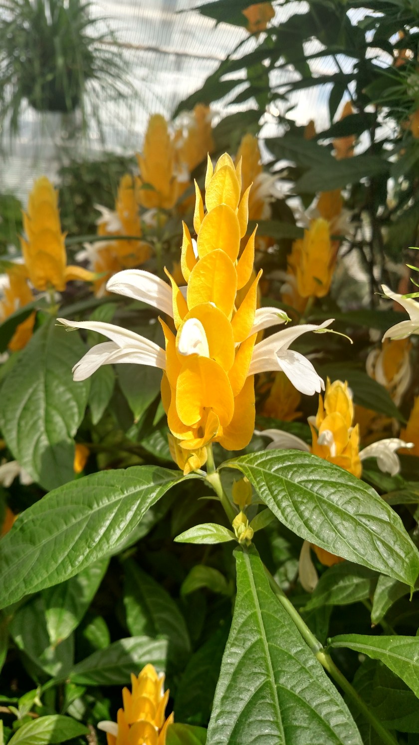 IMG_20180902_114923394_HDR