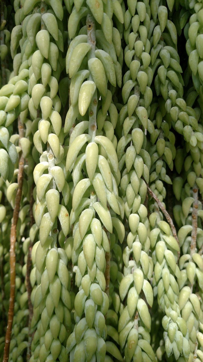 IMG_20180902_115227631