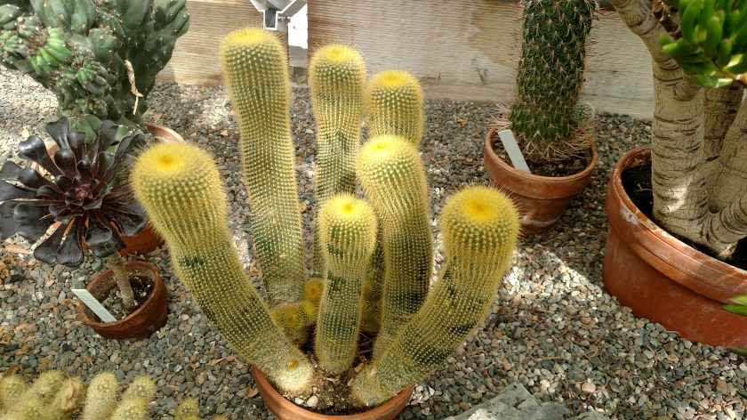 IMG_20180902_115332189