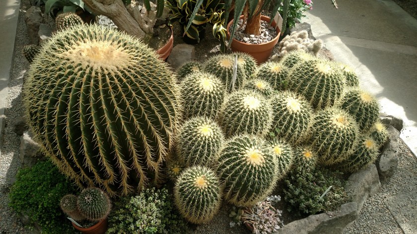 IMG_20180902_115400196