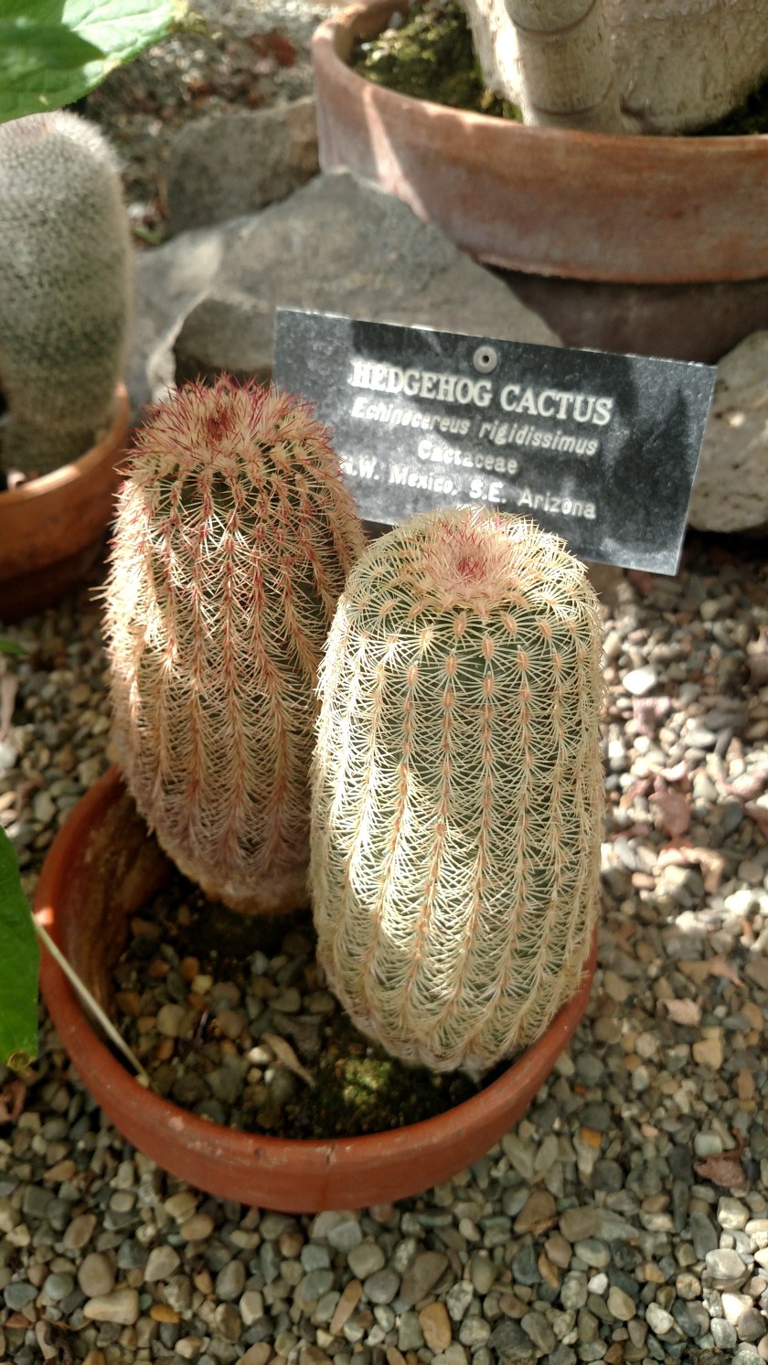 IMG_20180902_115415930