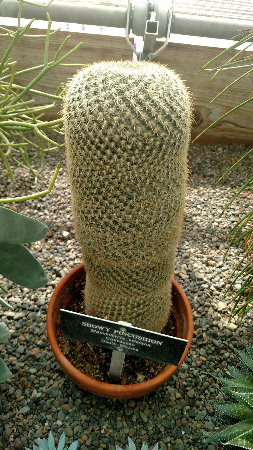 IMG_20180902_115524289