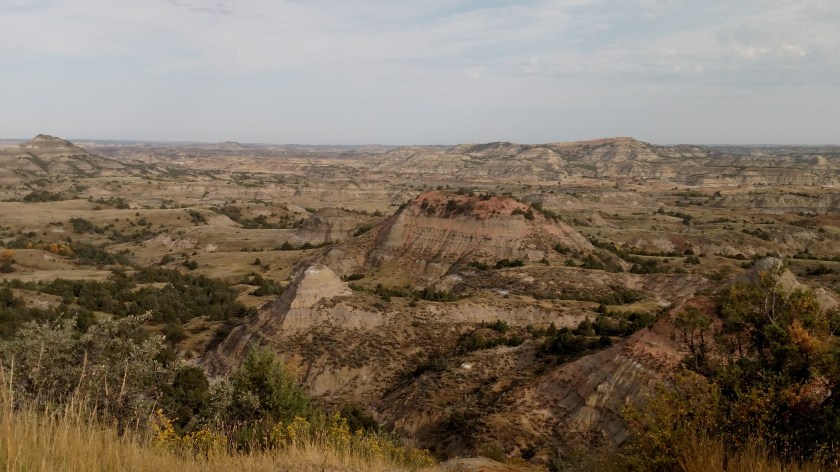 IMG_20180908_090611923