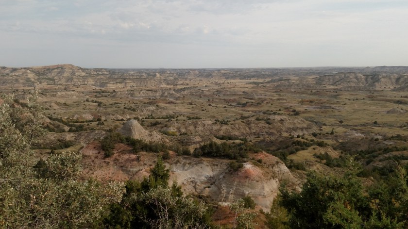 IMG_20180908_090626181