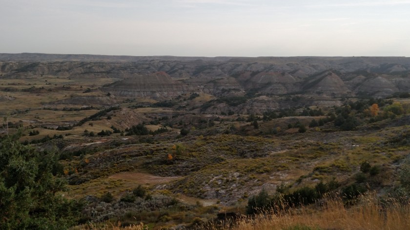 IMG_20180908_090630493