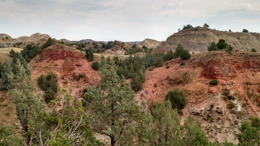 IMG_20180908_101113146_HDR