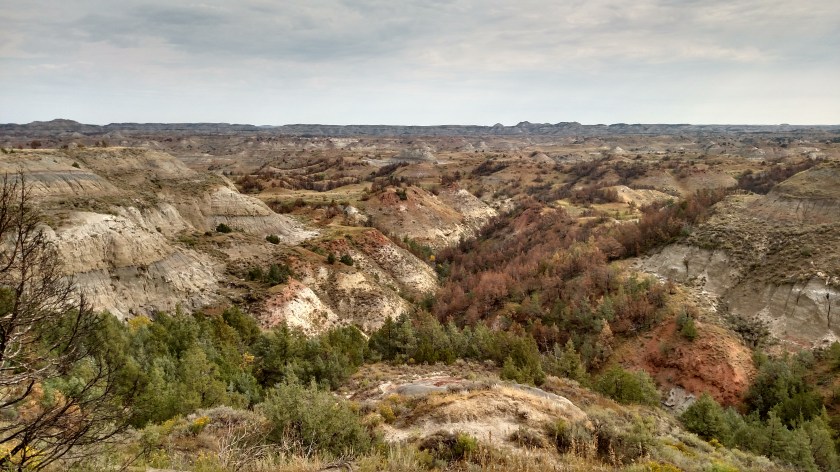 IMG_20180908_102038021_HDR