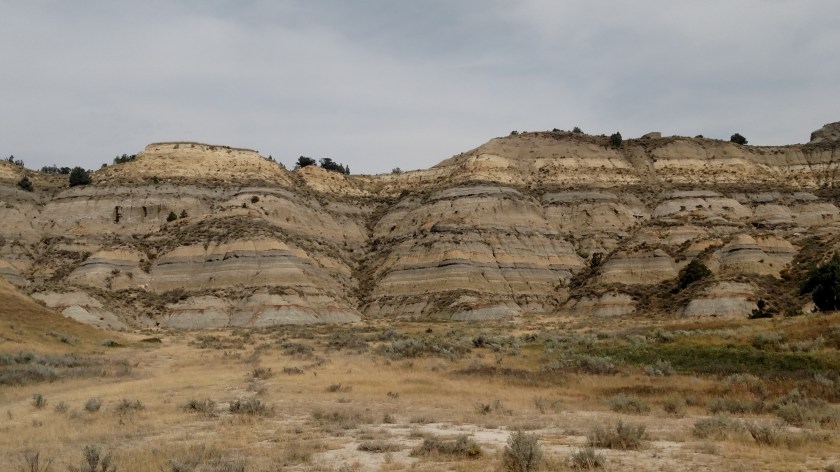 IMG_20180908_125846659