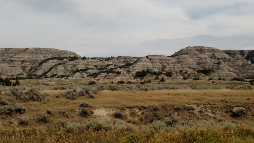 IMG_20180908_130857599