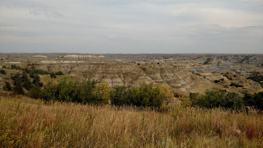 IMG_20180908_142648618