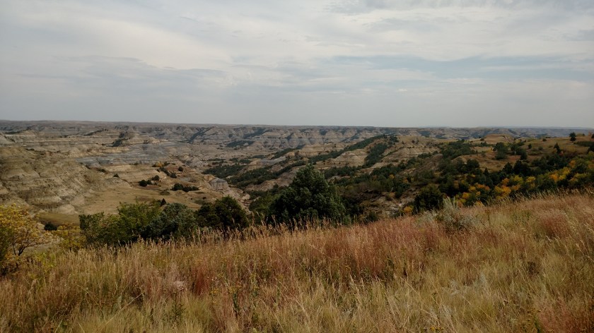 IMG_20180908_142651931