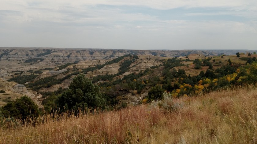 IMG_20180908_142708756