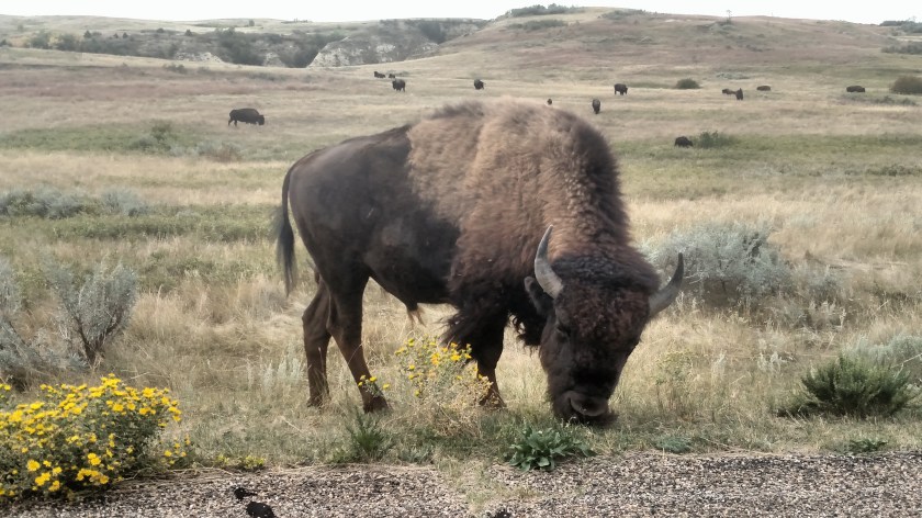 IMG_20180908_144032573