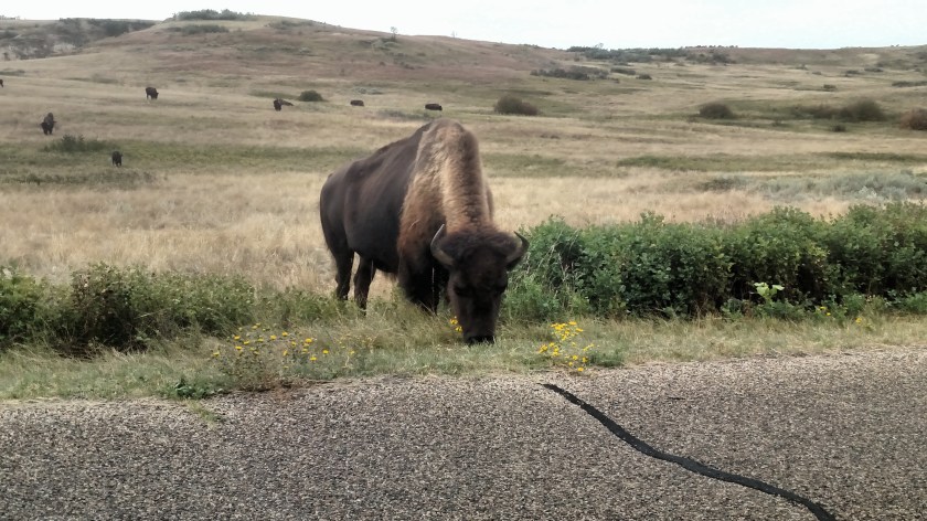 IMG_20180908_144049706