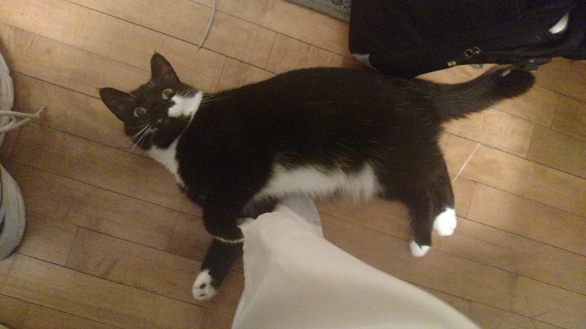 IMG_20180910_075438743