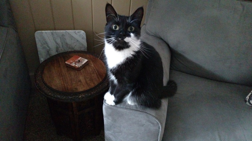 IMG_20180910_075939950