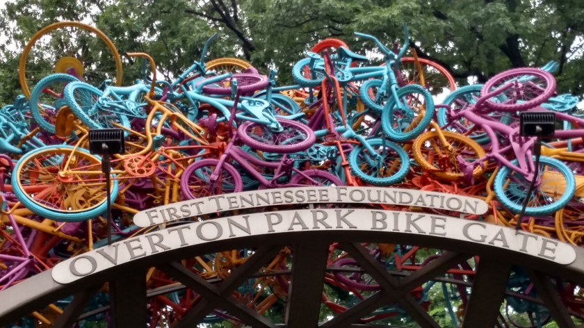 IMG_20160520_092919972_HDR