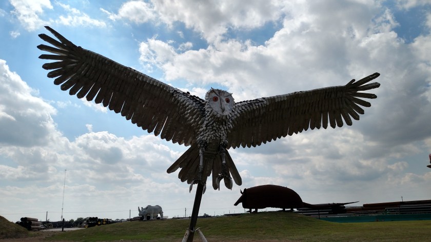 IMG_20170514_154752841_HDR